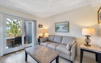 25060016Print 1817-2