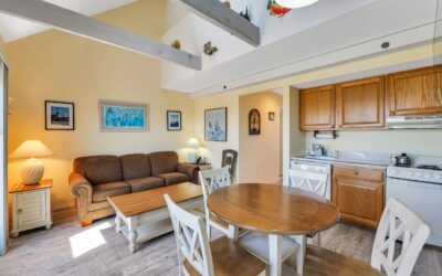 25060016Print 2023-1